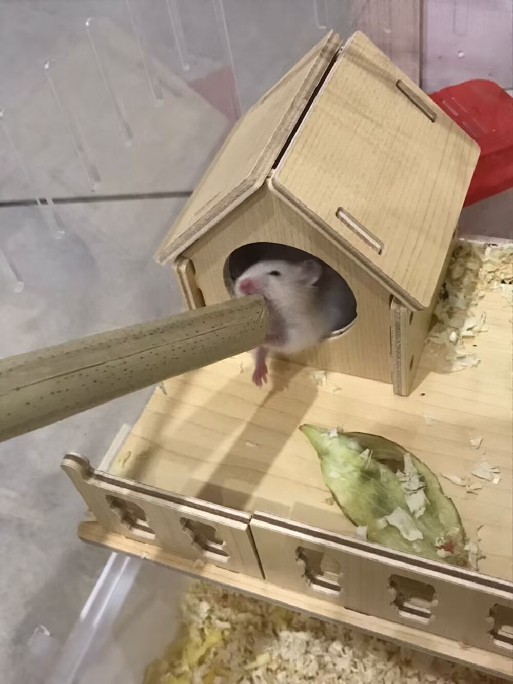 抱杆杆