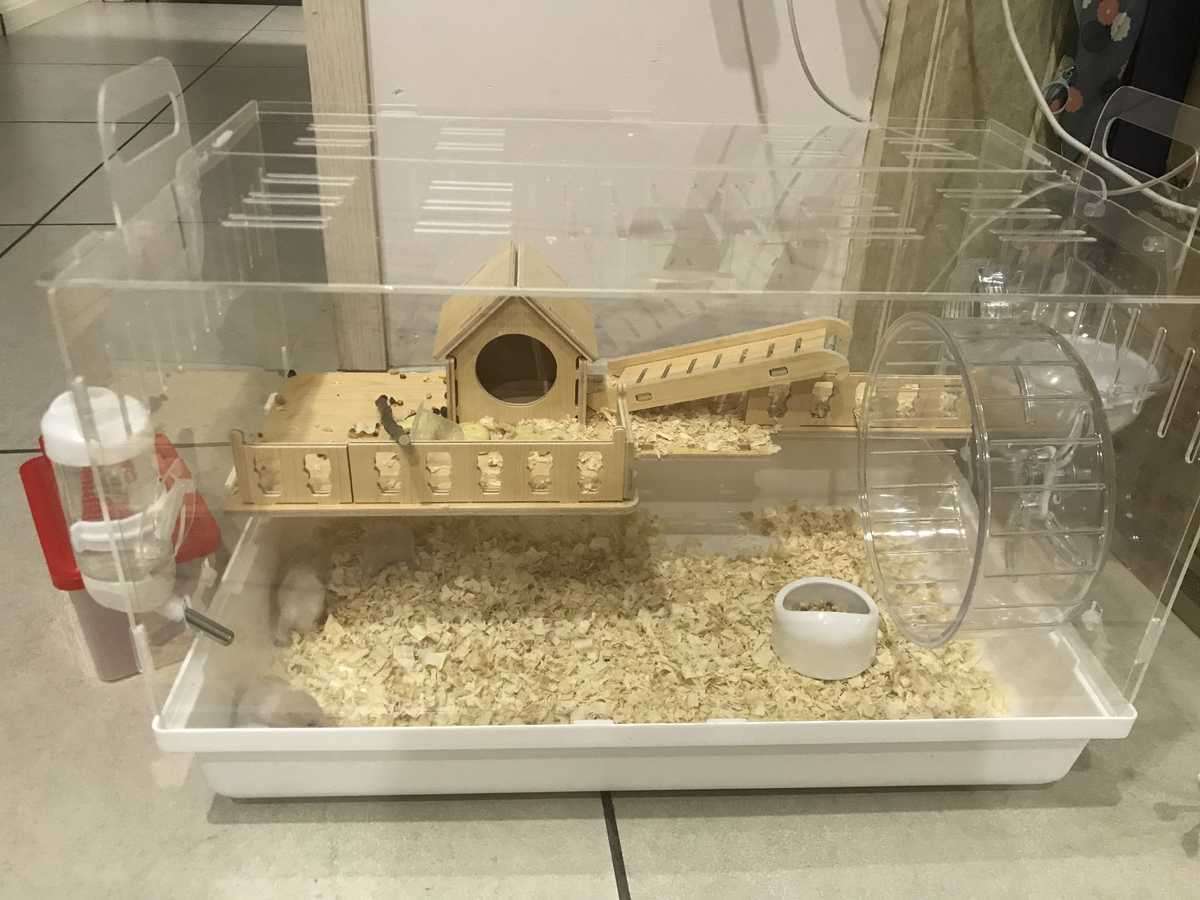 仓鼠别墅